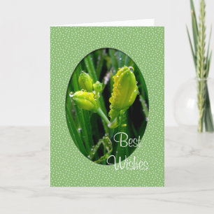 Nieuwjaarskaart Feestdagen Kaart