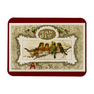  nieuwjaarsvogels magneet