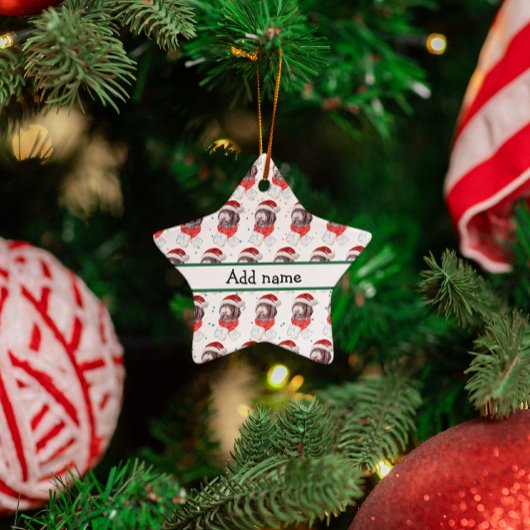 Nieuwkomerkerststerren Hondenras Keramisch Ornament