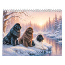 Nieuwsfies 2027 Kalender 
