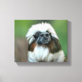 Nieuwsgierig aap canvas afdruk (Voorkant)