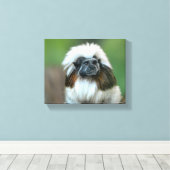 Nieuwsgierig aap canvas afdruk (Insitu (Houten vloer))