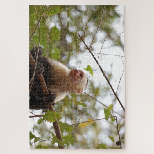 Nieuwsgierig aap, Costa Rica Capuchin Legpuzzel (Verticaal)