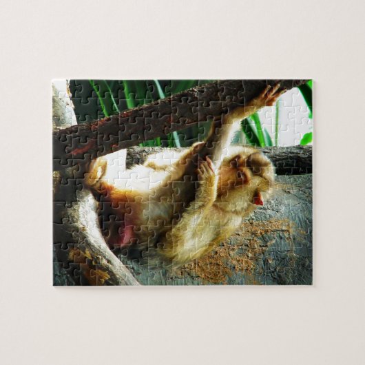 Nieuwsgierig aap legpuzzel (Horizontaal)