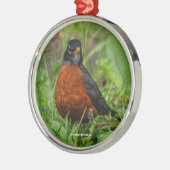 Nieuwsgierig Amerikaans Robin in de gras Metalen Ornament (Links)