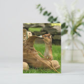 Nieuwsgierig Baby Chipmunk Briefkaart (Staand voorkant)