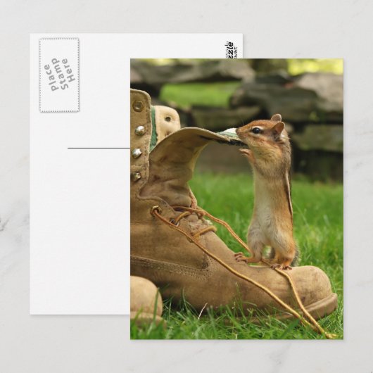 Nieuwsgierig Baby Chipmunk Briefkaart (Voorkant / Achterkant)