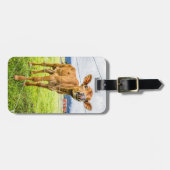 Nieuwsgierig Bagagelabel (Voorkant horizontaal)