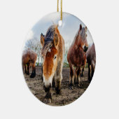 Nieuwsgierig Belgisch conceptpaard van hieronder Keramisch Ornament (Rechts)