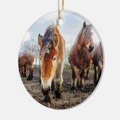 Nieuwsgierig Belgisch conceptpaard van hieronder Keramisch Ornament (Links)