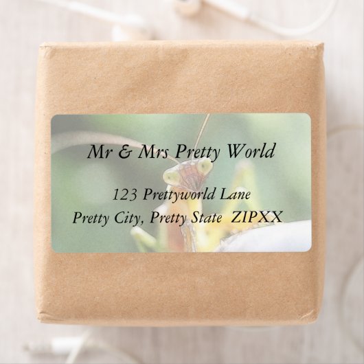 Nieuwsgierig bidsprinkhaan etiket (Insitu)