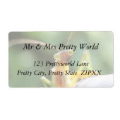 Nieuwsgierig bidsprinkhaan etiket (Voorkant)