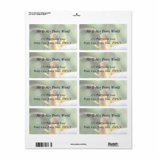 Nieuwsgierig bidsprinkhaan etiket (Full Sheet)