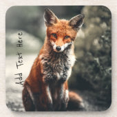 Nieuwsgierig Big Red en White Fox in Natuur Bier Onderzetter (Voorkant)