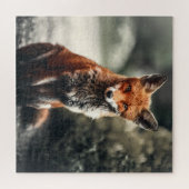 Nieuwsgierig Big Red en White Fox in Natuur Legpuzzel (Horizontaal)
