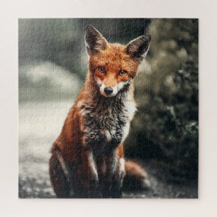 Nieuwsgierig Big Red en White Fox in Natuur Legpuzzel