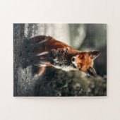Nieuwsgierig Big Red en White Fox in Natuur Legpuzzel (Horizontaal)