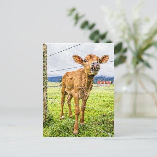 Nieuwsgierig Briefkaart (Staand voorkant)