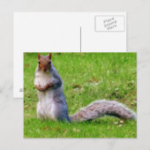 Nieuwsgierig Briefkaart (Voorkant / Achterkant)