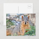 Nieuwsgierig Briefkaart  (Voorkant / Achterkant)