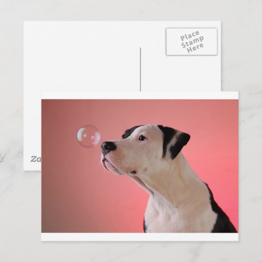 nieuwsgierig briefkaart (Voorkant / Achterkant)