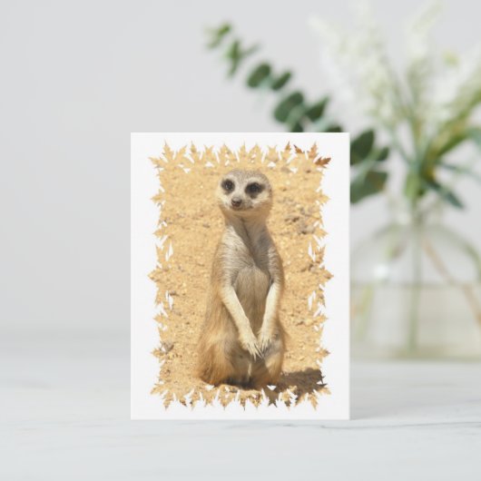 Nieuwsgierig Briefkaart Meerkat (Staand voorkant)