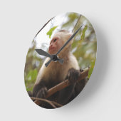 Nieuwsgierig Capuchin, Costa Ricaanse aap Ronde Klok (Hoek)