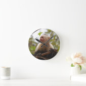 Nieuwsgierig Capuchin, Costa Ricaanse aap Ronde Klok (Huis)