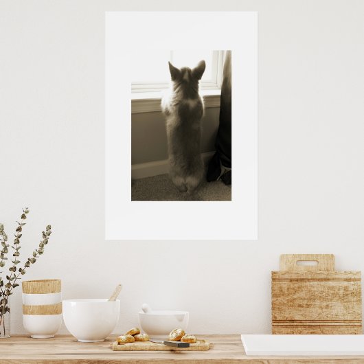 Nieuwsgierig Corgi Poster (Keuken)