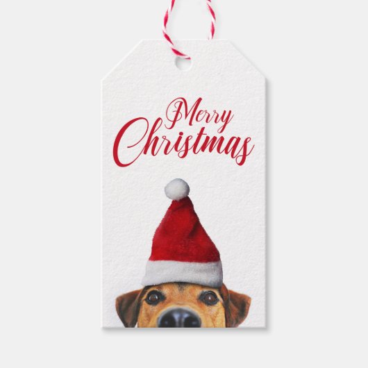 Nieuwsgierig Cute Funny Dog met Santa Hat Cadeaulabel (Voorkant)