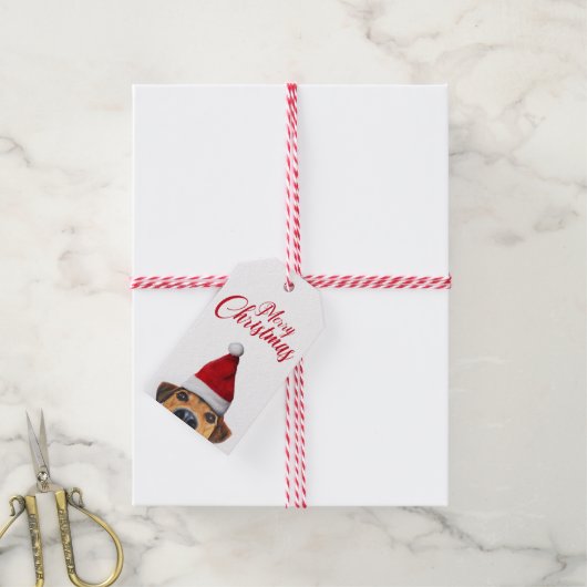 Nieuwsgierig Cute Funny Dog met Santa Hat Cadeaulabel (Met Touw)