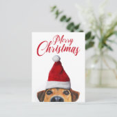 Nieuwsgierig Cute Funny Dog met Santa Hat Feestdagenkaart (Staand voorkant)