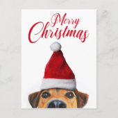Nieuwsgierig Cute Funny Dog met Santa Hat Feestdagenkaart (Voorkant)