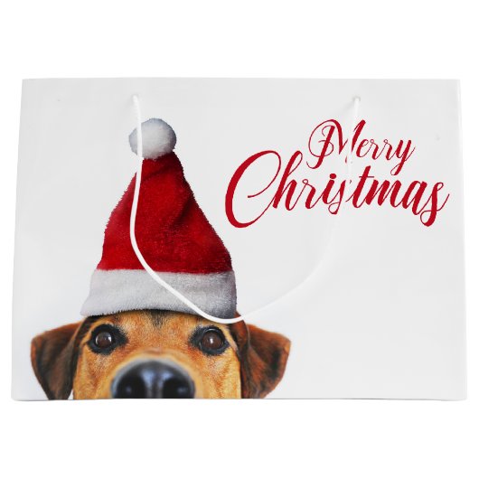 Nieuwsgierig Cute Funny Dog met Santa Hat Groot Cadeauzakje (Voorkant)