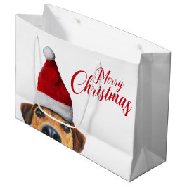 Nieuwsgierig Cute Funny Dog met Santa Hat Groot Cadeauzakje