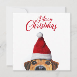 Nieuwsgierig Cute Funny Dog met Santa Hat Kaart