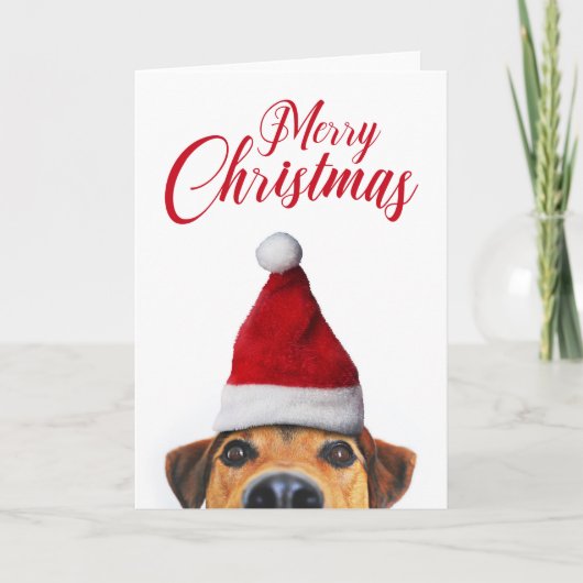Nieuwsgierig Cute Funny Dog met Santa Hat Kaart (Voorkant)