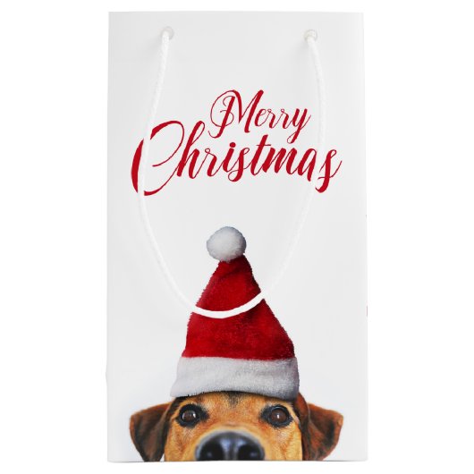 Nieuwsgierig Cute Funny Dog met Santa Hat Klein Cadeauzakje (Achterkant)