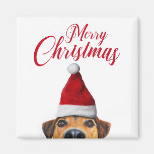 Nieuwsgierig Cute Funny Dog met Santa Hat Magneet