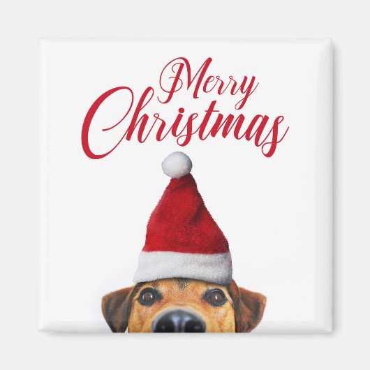 Nieuwsgierig Cute Funny Dog met Santa Hat Magneet (Voorkant)