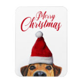 Nieuwsgierig Cute Funny Dog met Santa Hat Magneet (Verticaal)
