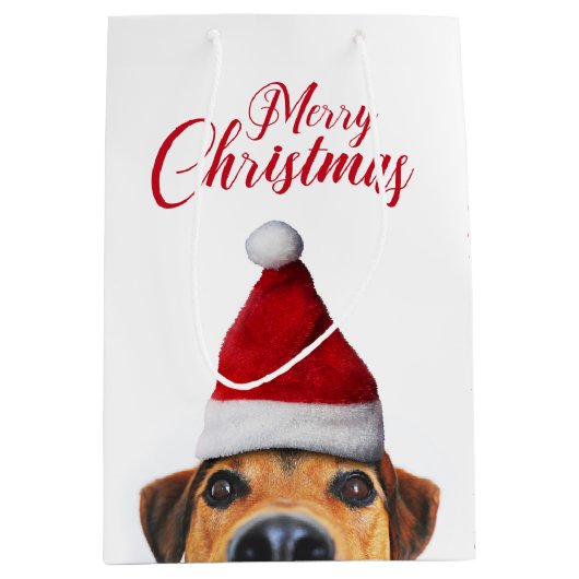 Nieuwsgierig Cute Funny Dog met Santa Hat Medium Cadeauzakje (Voorkant)