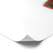 Nieuwsgierig Cute Funny Dog met Santa Hat Poster (Hoek)