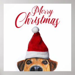 Nieuwsgierig Cute Funny Dog met Santa Hat Poster