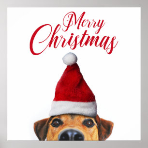 Nieuwsgierig Cute Funny Dog met Santa Hat Poster