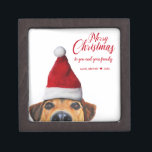 Nieuwsgierig Cute Funny Dog met Santa Hat Premium Bewaar Doosje<br><div class="desc">Een mooie kerstman: een vreemde hond met een kersthoed. Seizoensvakantiegroet,  geschreven in moderne typografie letters.</div>