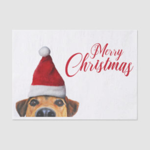 Nieuwsgierig Cute Funny Dog met Santa Hat Tissuepapier