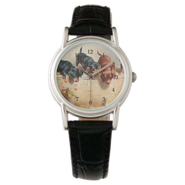 Nieuwsgierig Dachshund-Puppy en kikker Horloge (Voorkant)