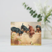 Nieuwsgierig Dachshund-Puppy en kikker Kaart (Staand voorkant)
