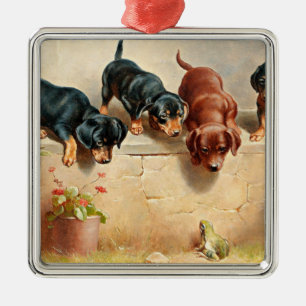 Nieuwsgierig Dachshund-Puppy en kikker Metalen Ornament